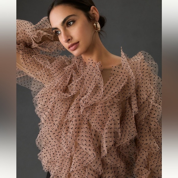 Anthropologie Tops - Anthropologie Dolan Left Coast Mesh Ruffle Top - Medium